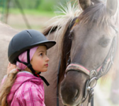 Equine